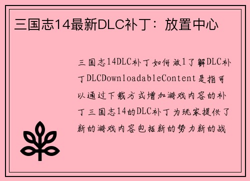 三国志14最新DLC补丁：放置中心
